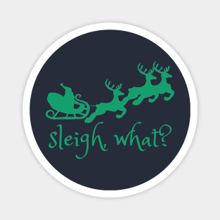 sleigh, what? Magnet